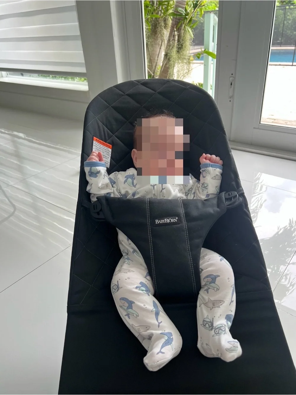 Babybjörn bouncer bliss